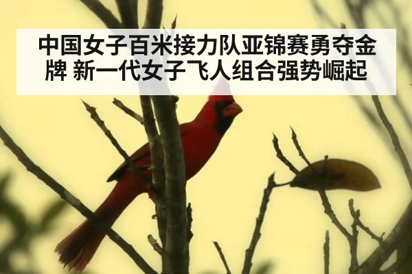中国女子百米接力队亚锦赛勇夺金牌 新一代女子飞人组合强势崛起