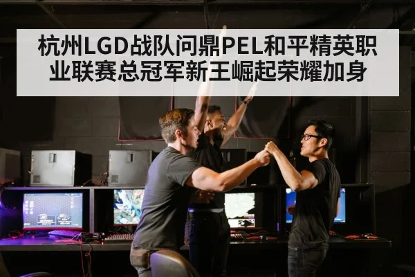 杭州LGD战队问鼎PEL和平精英职业联赛总冠军新王崛起荣耀加身