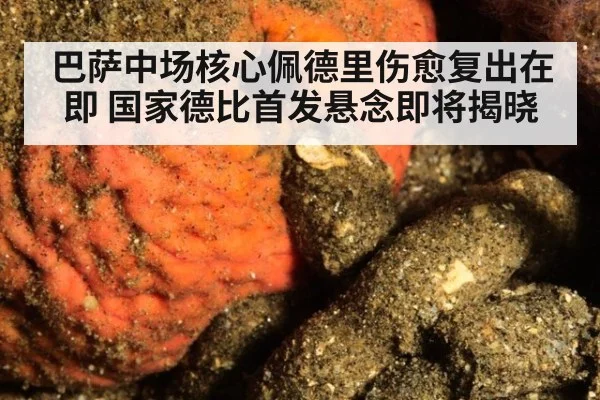 巴萨中场核心佩德里伤愈复出在即 国家德比首发悬念即将揭晓